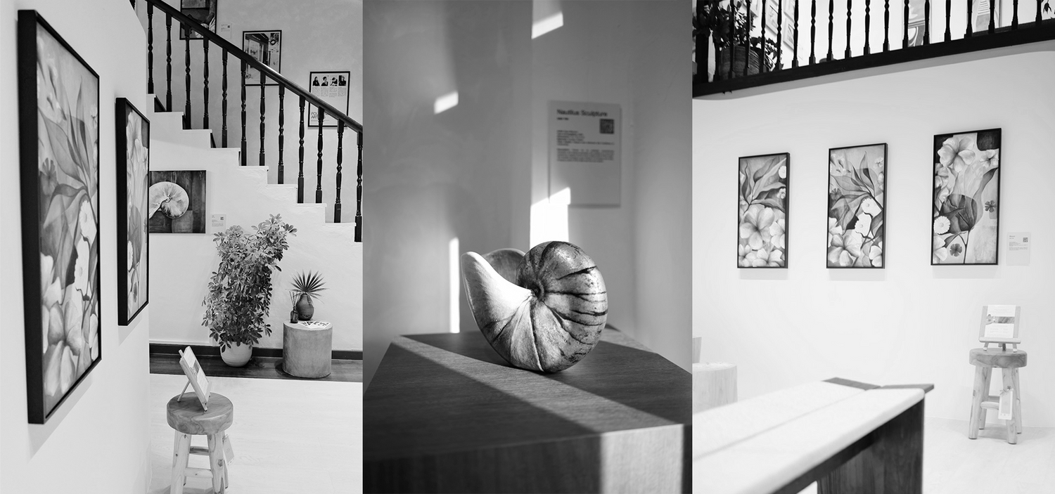 Oevaali Art Gallery