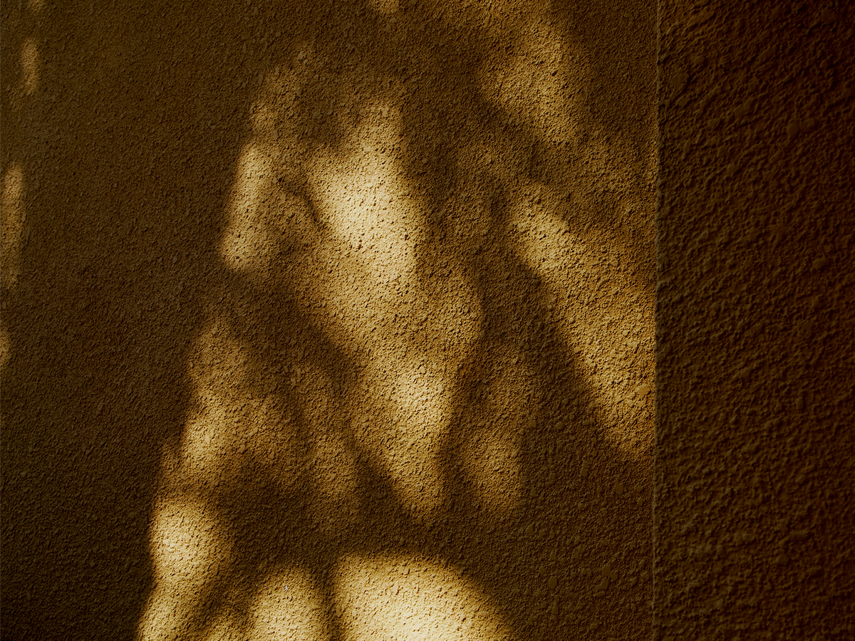 Edit_Lowlight Series