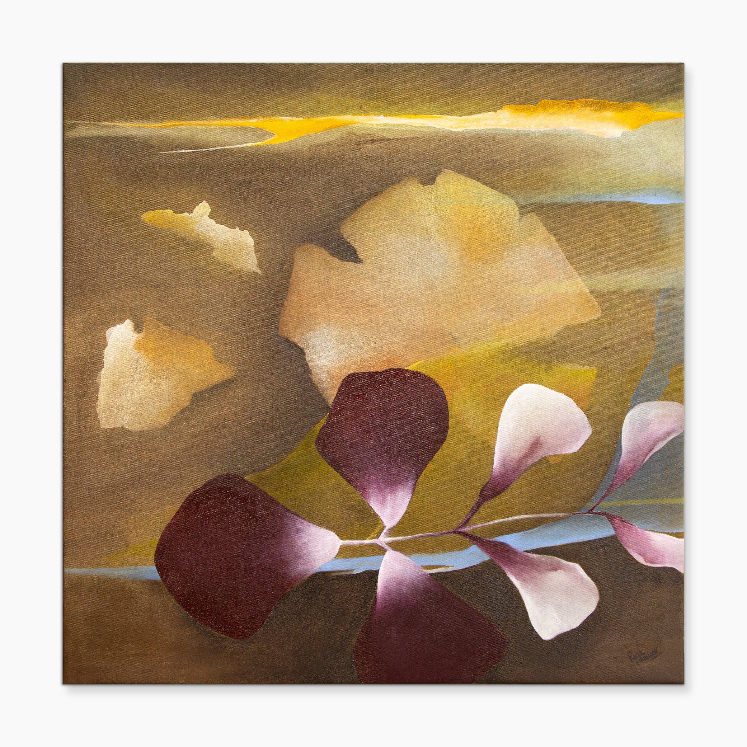 Bloom at Dawn