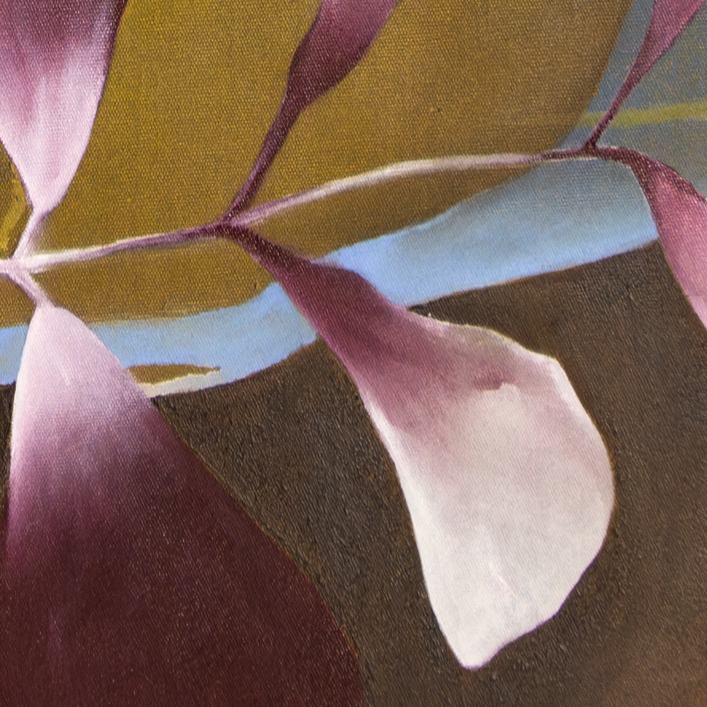 Bloom at Dawn