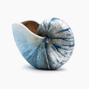 Nautilus
