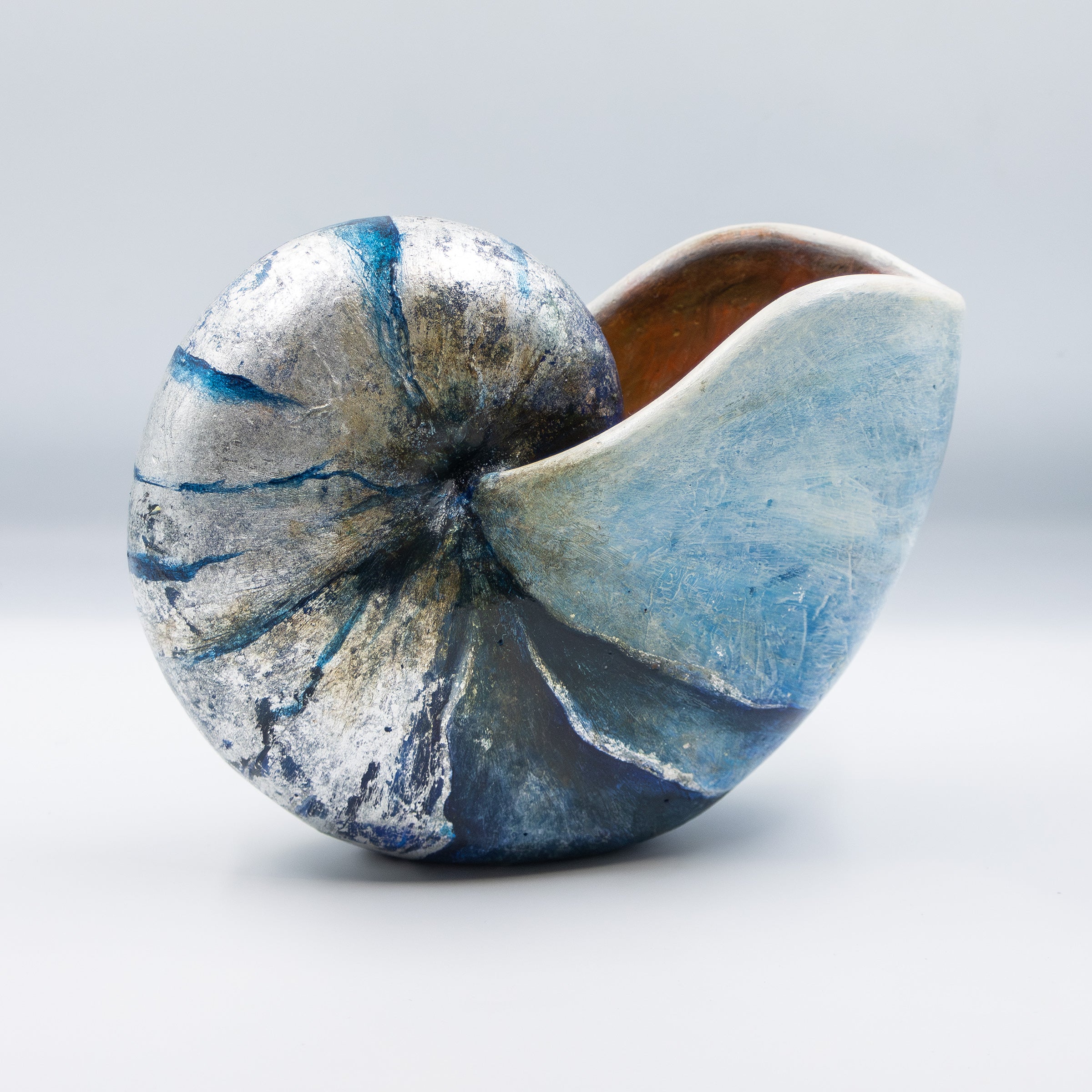 Nautilus